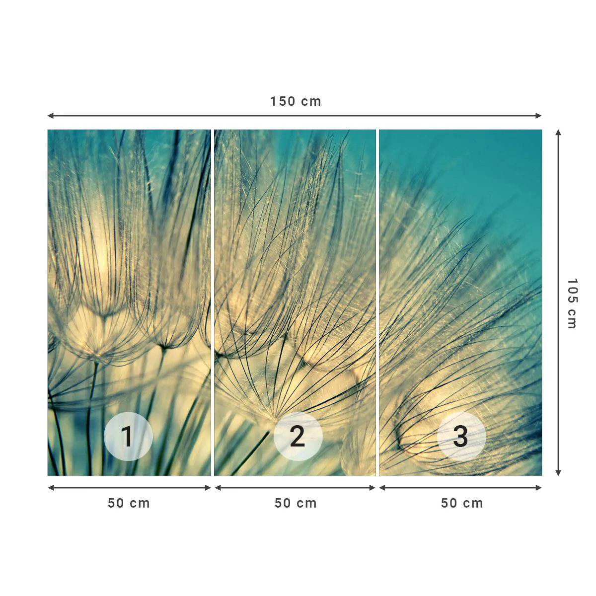 Fototapeta Premium Sand - W oczekiwaniu na wiatr - Dmuchawiec, Łąka, Natura - 150x105 cm