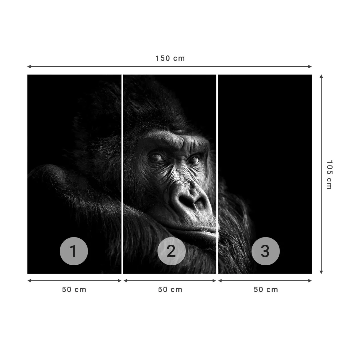 Papel de Parede Standard Eco - E para que é que estás a olhar? - Macaco, Gorila, Animais - 150x105 cm