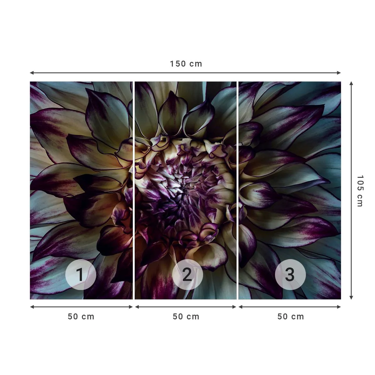Fototapet Premium Sand - Ungdommens blomstring - Blomster, Dahlia, blomstrende blomst - 150x105 cm