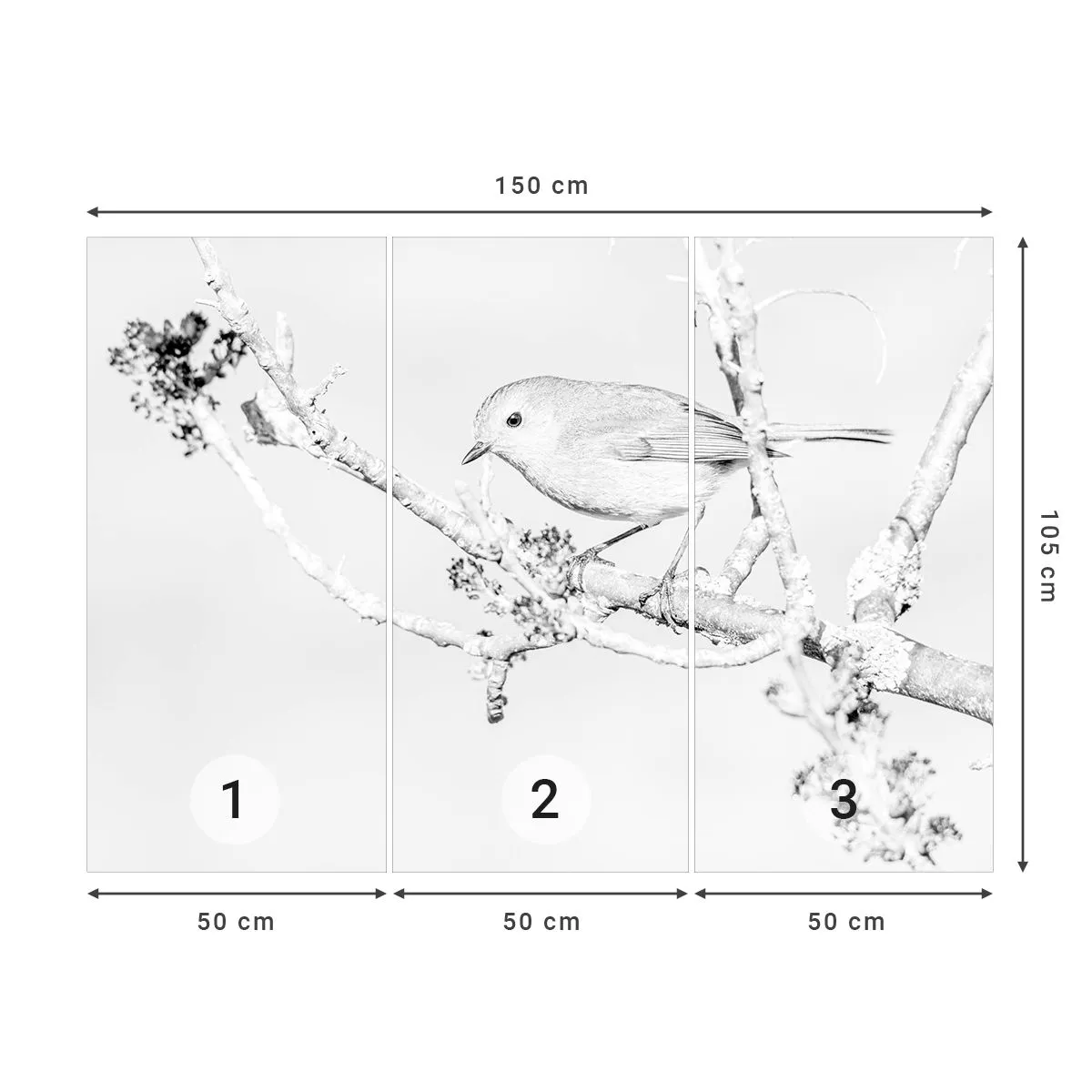 Fototapeta Premium Sand - Zimowy poranek - Jasny, Ptak, Natura - 150x105 cm