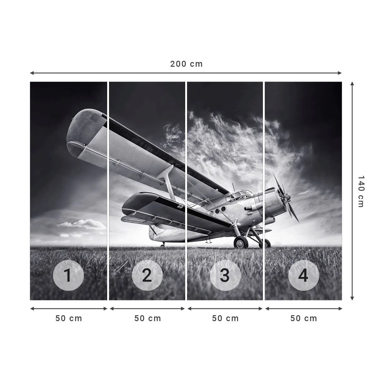 Fotobehang Standard Eco - De gevleugelde zwerver - Vliegtuig, Vliegtuigen, Zwart en wit - 200x140 cm