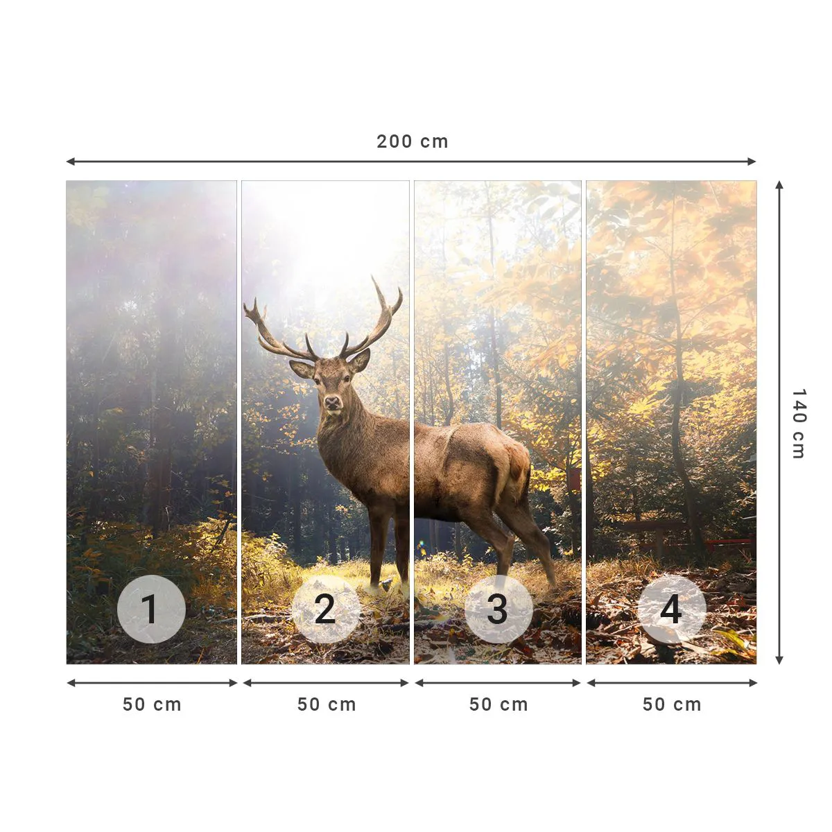 Fototapeta Premium Sand - W pełnym majestacie - Krajobraz, Jeleń, Las - 200x140 cm