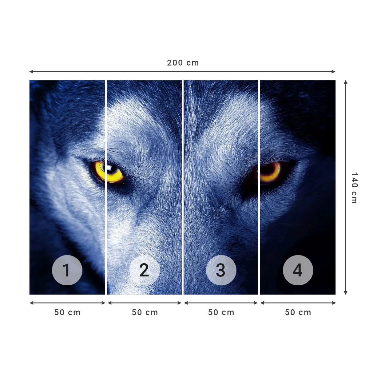 Fototapeta Premium Sand - Fascinujúci pohľad - Zvieratá, Wolf, Oči - 200x140 cm