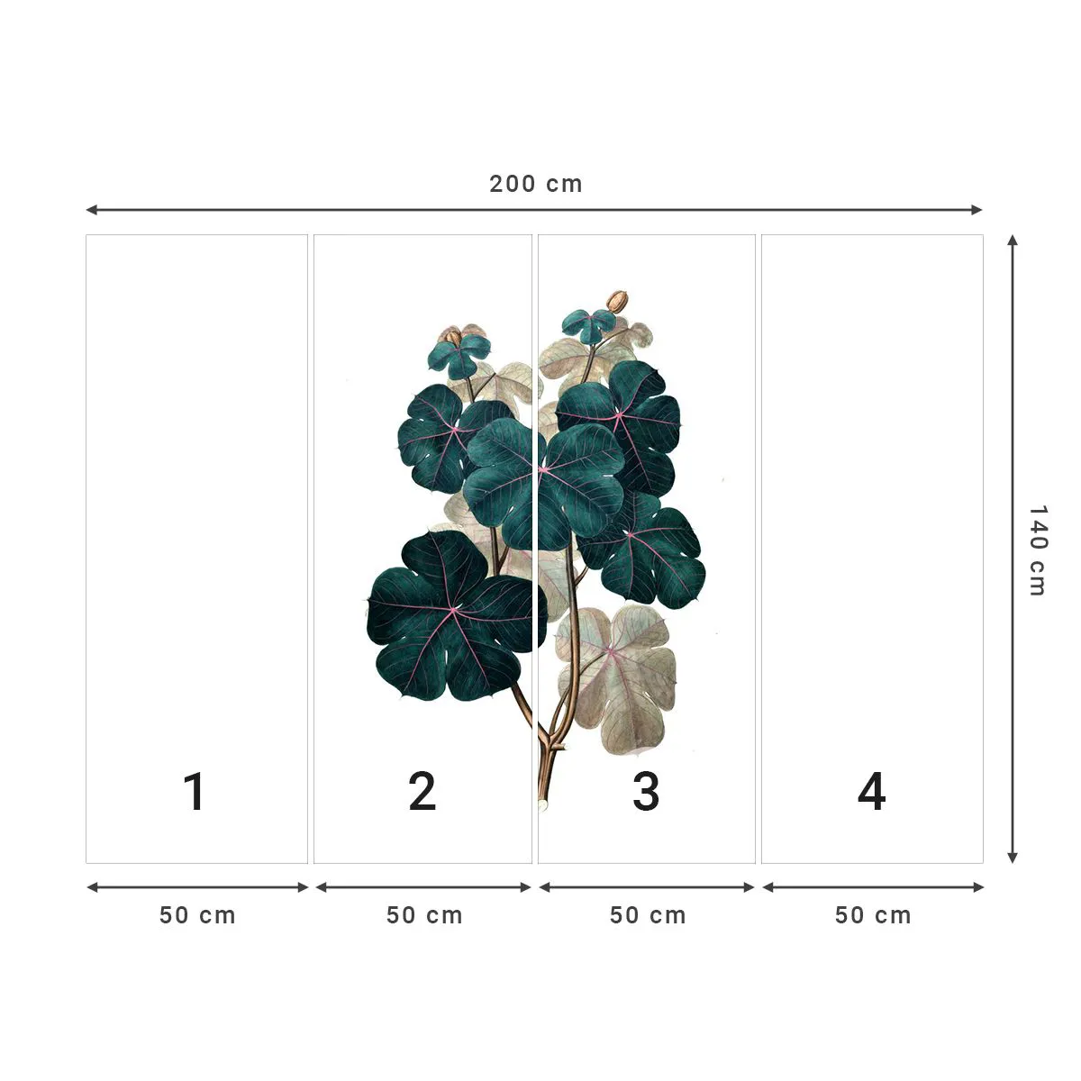 Tapet Premium Sand - Dintr-un vechi ierbar - Plantă, Frunze, Botanică - 200x140 cm