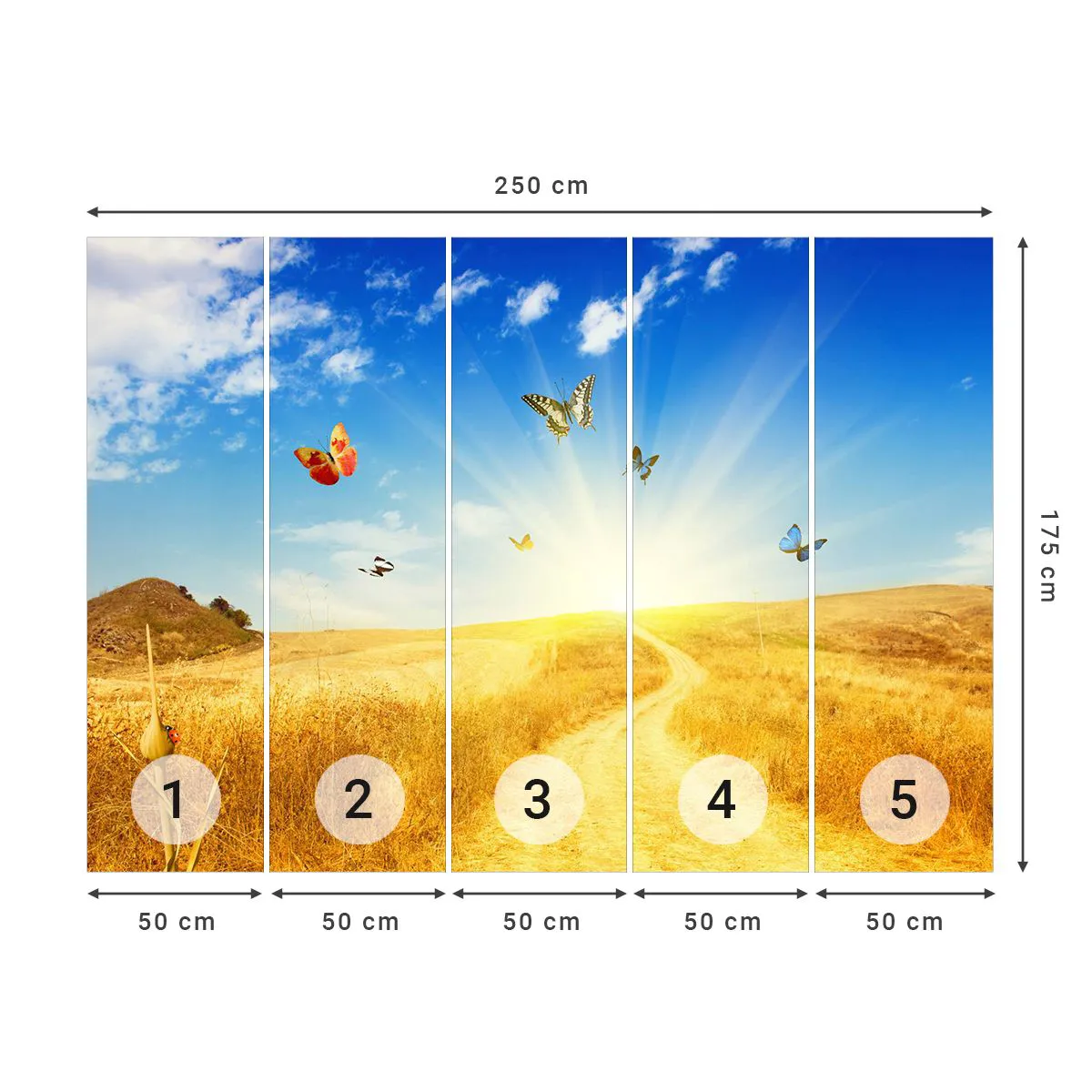 Fototapeta Premium Sand - Jak nemilovat léto? - Krajina, Motýli, Příroda - 250x175 cm