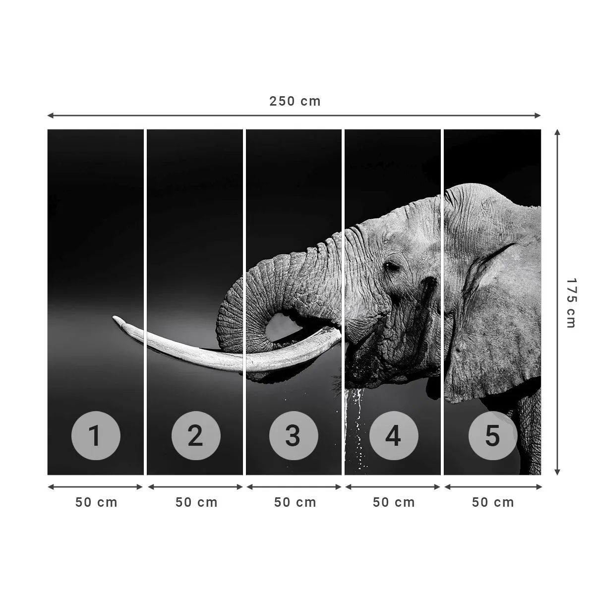 Fototapeta Premium Canvas - Ano, teď je to dobré - Zvířata, Slon, Afrika - 250x175 cm