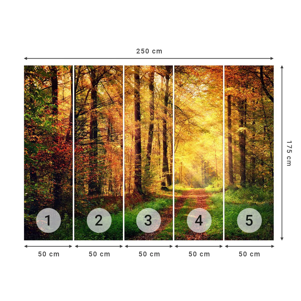 Fototapet Premium Canvas - Skogsguld tystnad - Landskap, Skog, Skogsväg - 250x175 cm