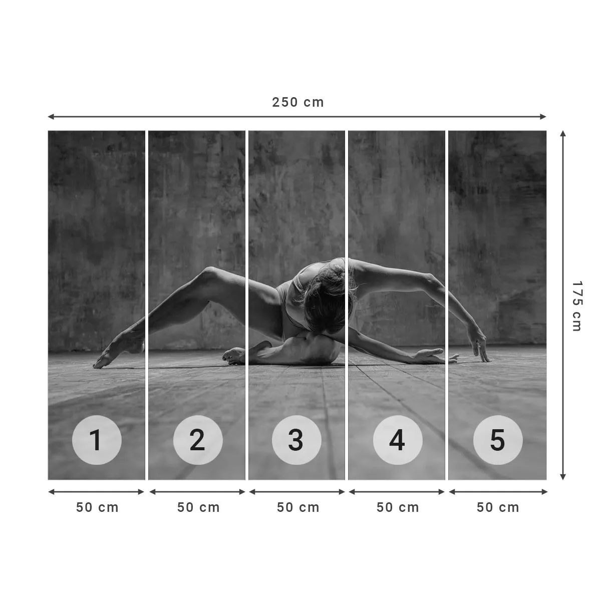 Fotótapéta Premium Canvas - Előkerített szimmetria  - Balerina, Balett, Tánc - 250x175 cm