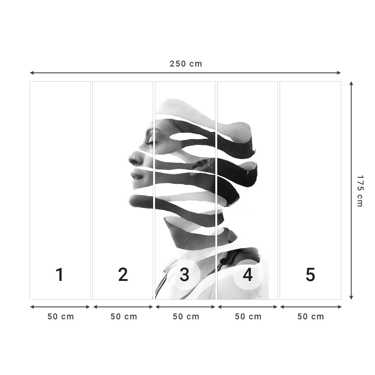 Tapet Standard Eco - Un portret suprarealist - Abstracția, Bucată, Femeie - 250x175 cm