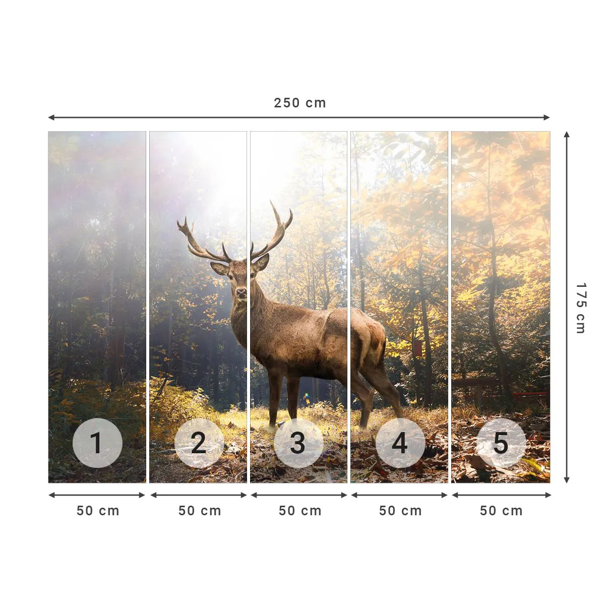 Fototapeta Premium Sand - W pełnym majestacie - Krajobraz, Jeleń, Las - 250x175 cm