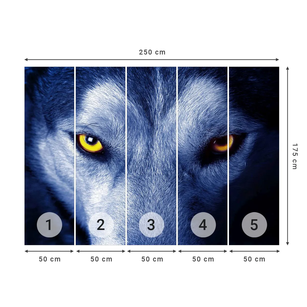 Photo Wallpaper Premium Sand - Mesmerising Look - Animals, Wolf, Eyes - 250x175 cm