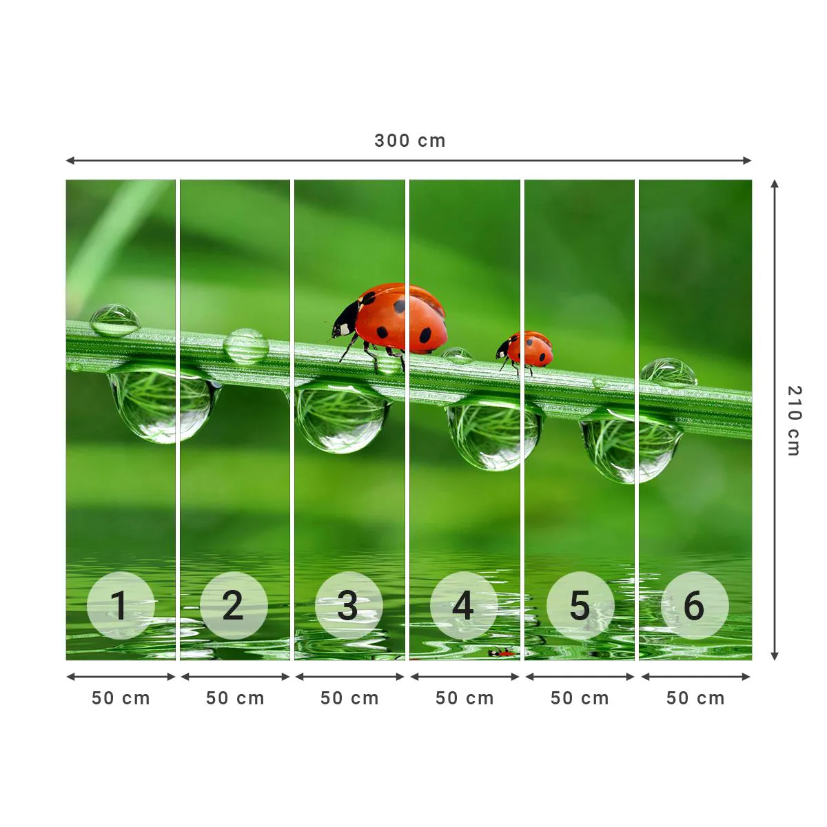 Fotótapéta Premium Canvas - Egész nyáron az úton - Katicabogár, Egy csepp víz, Természet - 300x210 cm