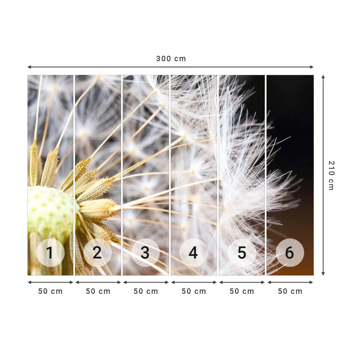 Fotótapéta Standard Eco - Közvetlenül az indulás előtt - Virág, Növény, Természet - 300x210 cm