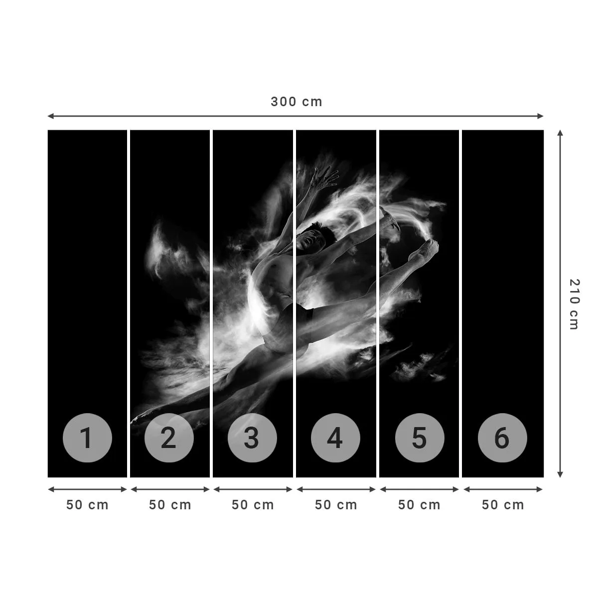 Fotomurali Premium Canvas - Fermo in volo - Ballerino, Balletto, Cultura - 300x210 cm