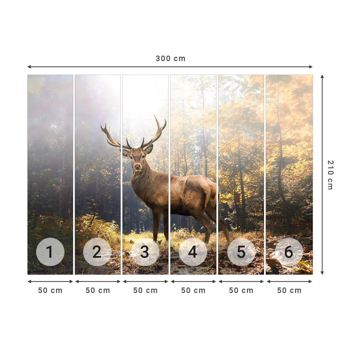 Fototapeta Premium Sand - W pełnym majestacie - Krajobraz, Jeleń, Las - 300x210 cm