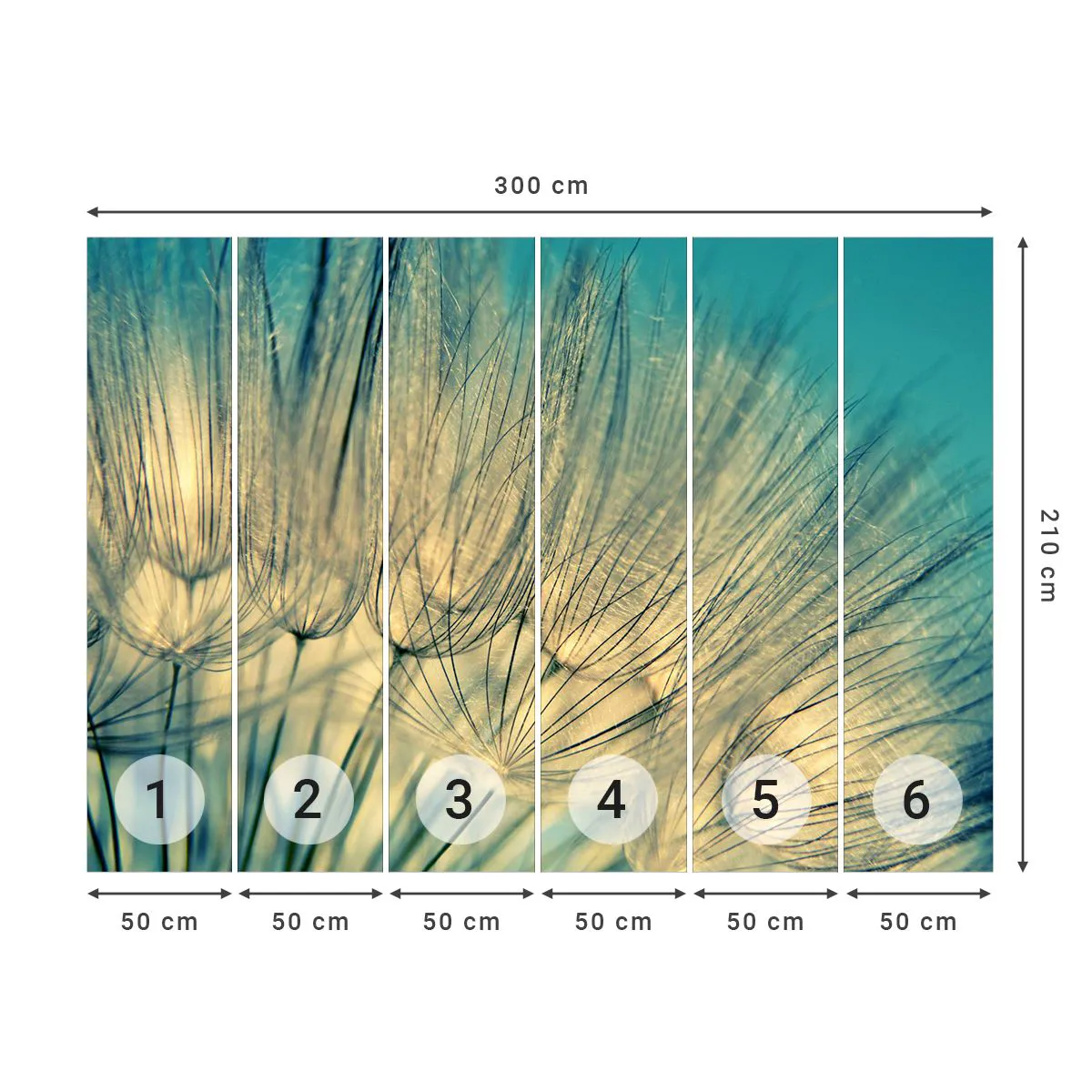 Fototapeta Premium Sand - W oczekiwaniu na wiatr - Dmuchawiec, Łąka, Natura - 300x210 cm