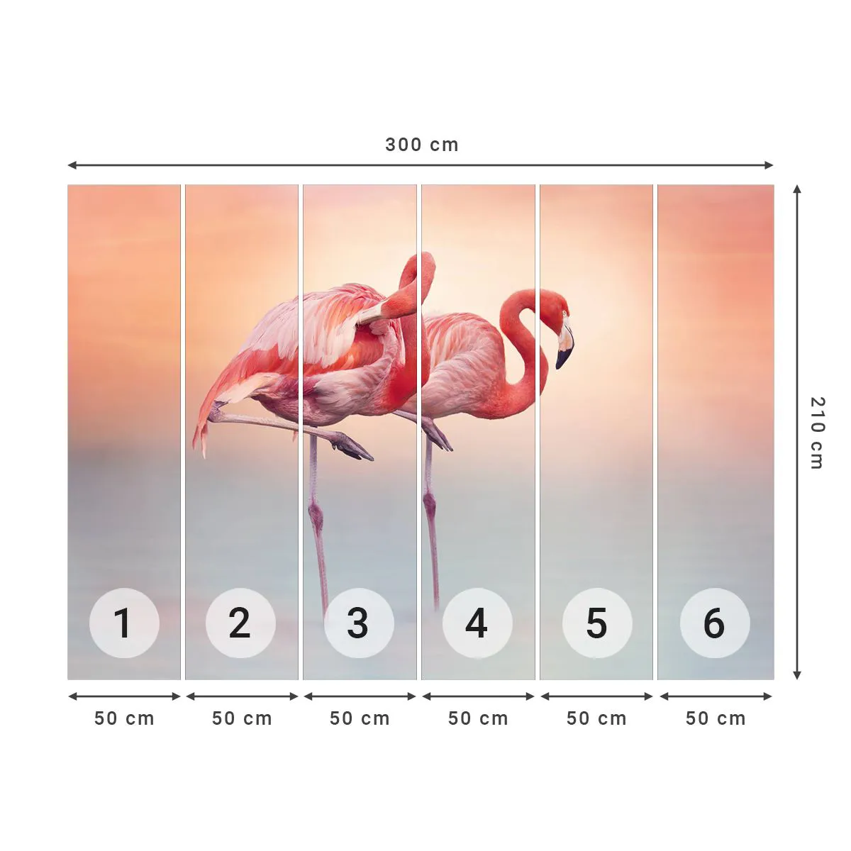 Fototapeta Premium Sand - Vo farbe zapadajúceho slnka - Plameniaky, Vtáky, Príroda - 300x210 cm