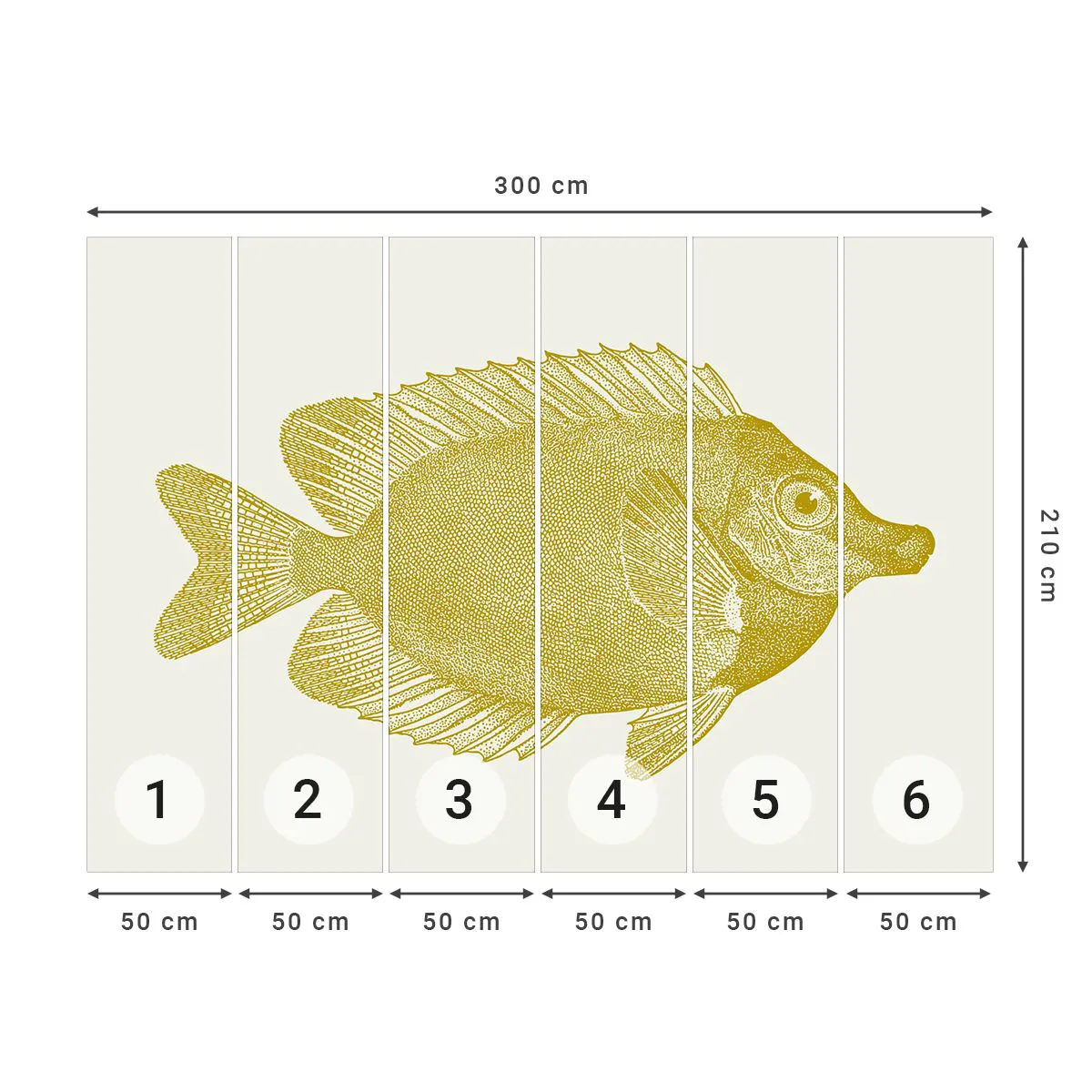 Fototapeta Standard Eco - Proste ryba - Ryby, Prímorské, Zviera - 300x210 cm