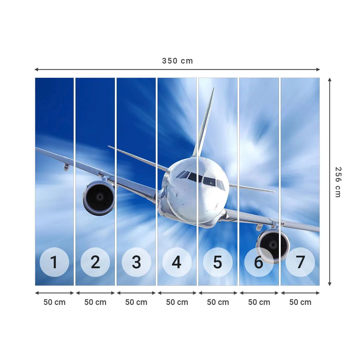 Papel de Parede Standard Eco - Mais rápido do que o vento no céu - Avião, Aeronave, Viagens - 350x256 cm