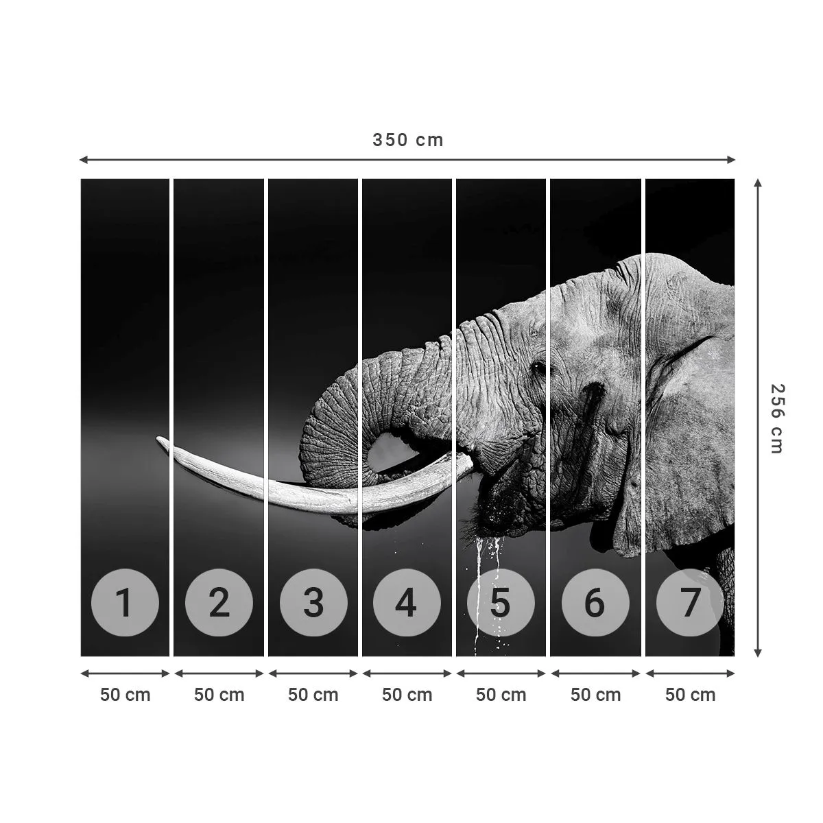 Fotomurali Premium Sand - Si, adesso va bene - Animali, Elefante, Africa - 350x256 cm