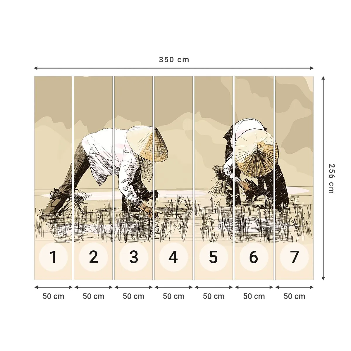 Papel de Parede Premium Sand - Boa colheita  - Ásia, Plantação de Arroz, Arrozal - 350x256 cm