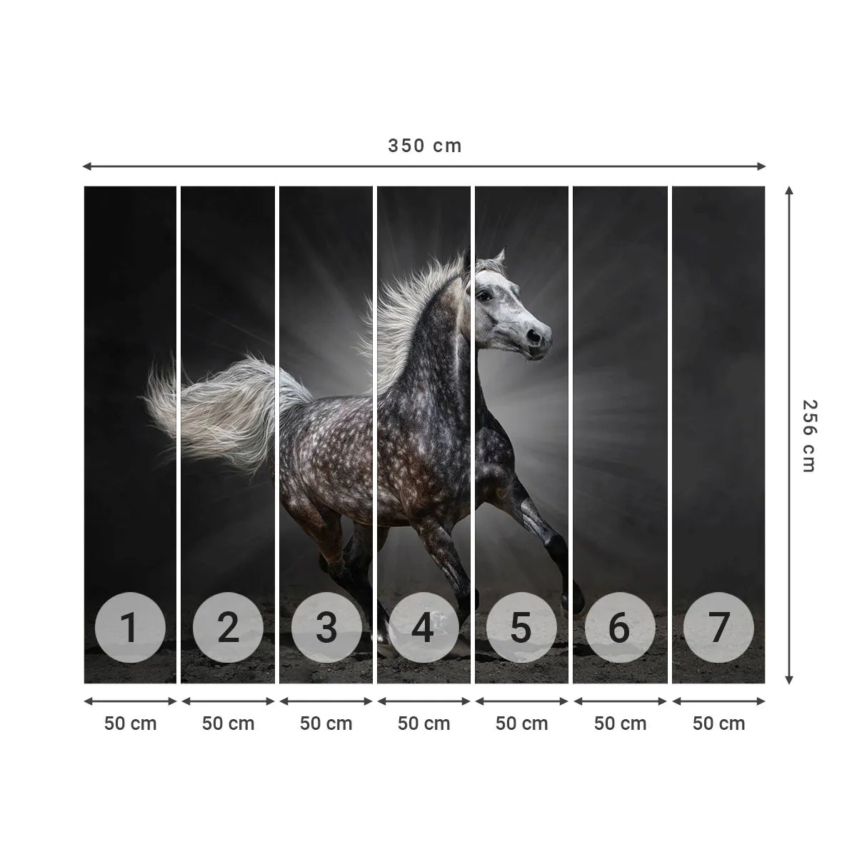 Tapet Standard Eco - Griul elefantin este frumos - Animale, cal arab, Natură - 350x256 cm