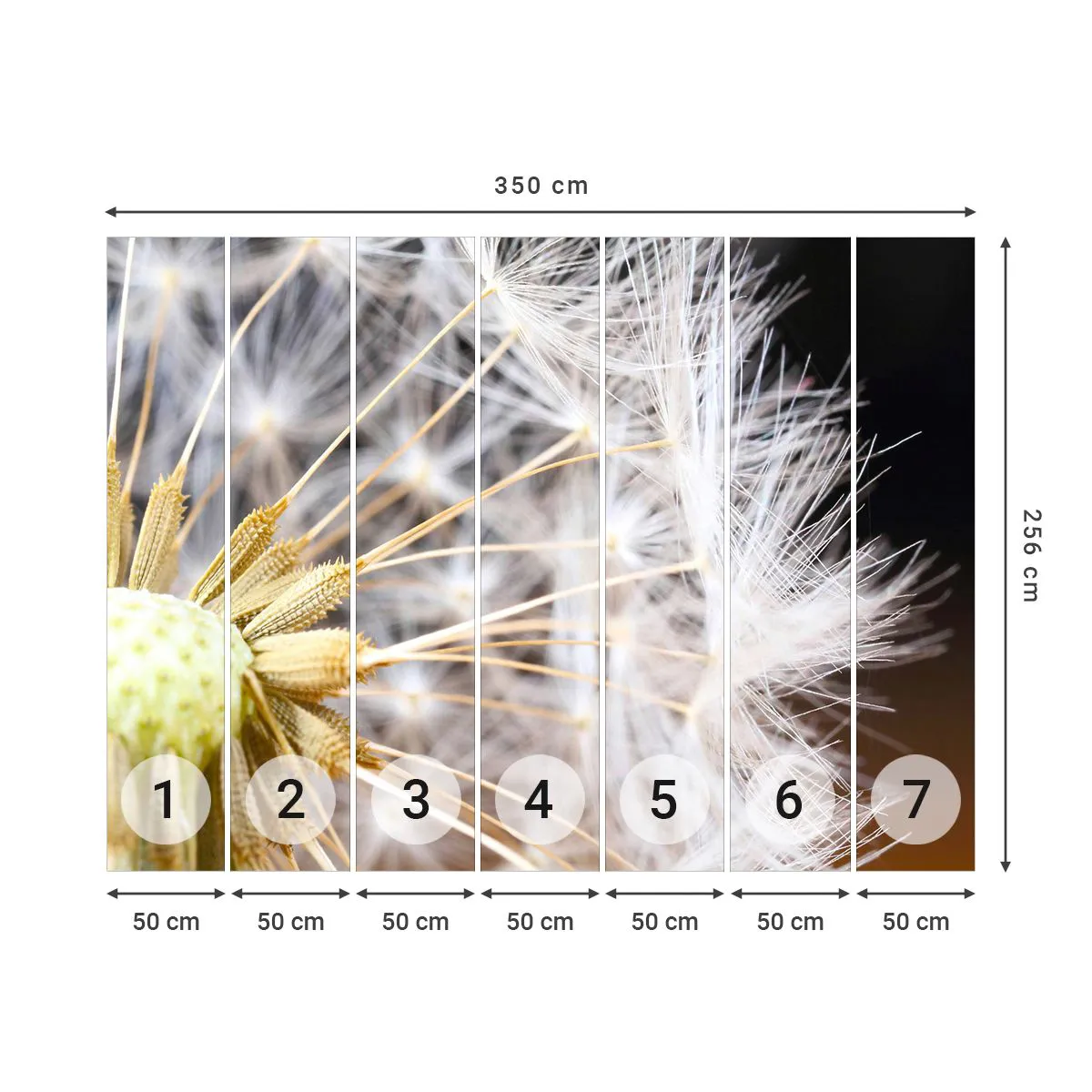 Fototapeta Standard Eco - Tuż przed odlotem - Kwiat, Roślina, Natura - 350x256 cm