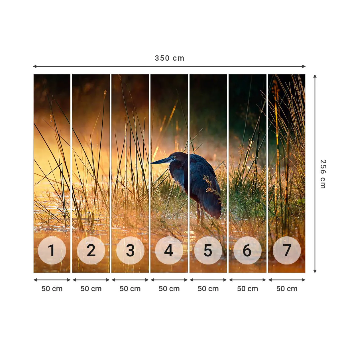 Photo Wallpaper Premium Sand - Stop Taking Pictures - Heron, Bird, Nature - 350x256 cm