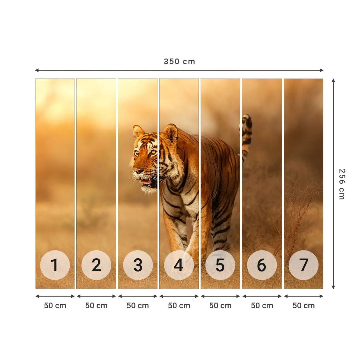 Photo Wallpaper Premium Sand - Before Attack - Animals, Tiger, Africa - 350x256 cm