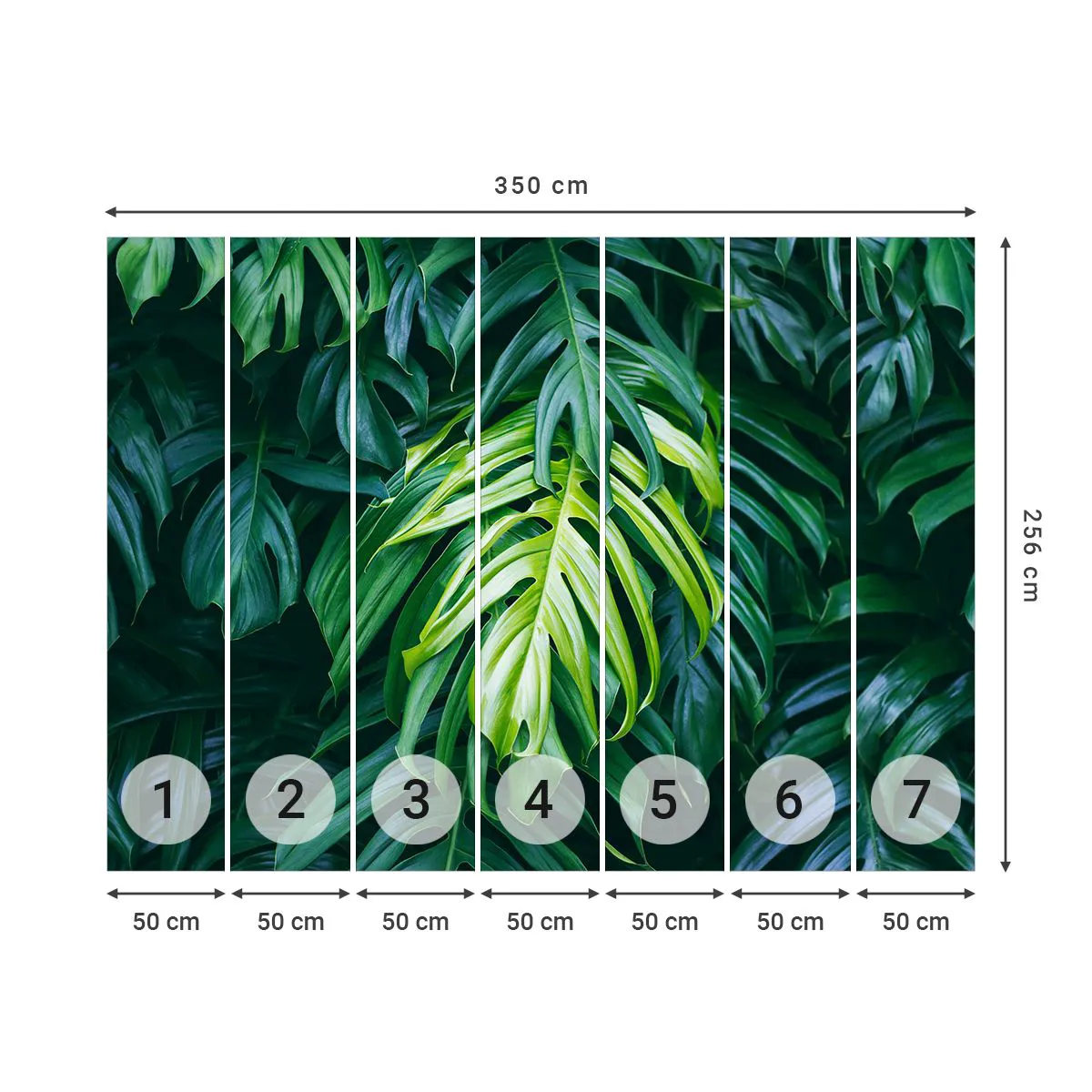 Photo Wallpaper Standard Eco - Immerse Yourself in Freshness - Tropical Plant, Monstera leaf, Nature - 350x256 cm