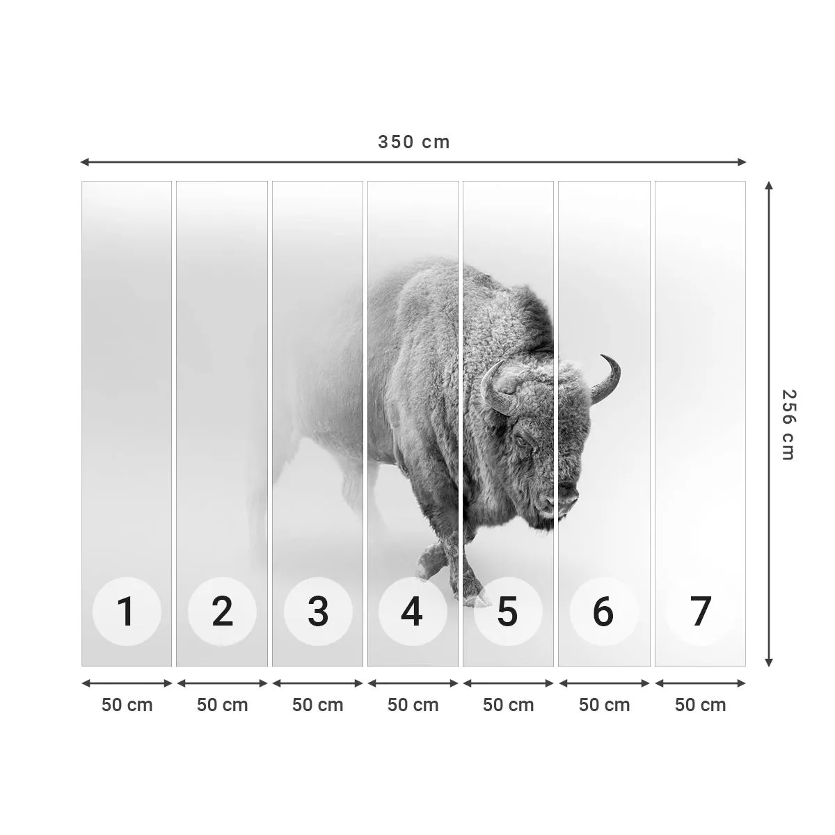 Fotótapéta Premium Sand - A préri királya - Wisent, Állatok, Bölény - 350x256 cm