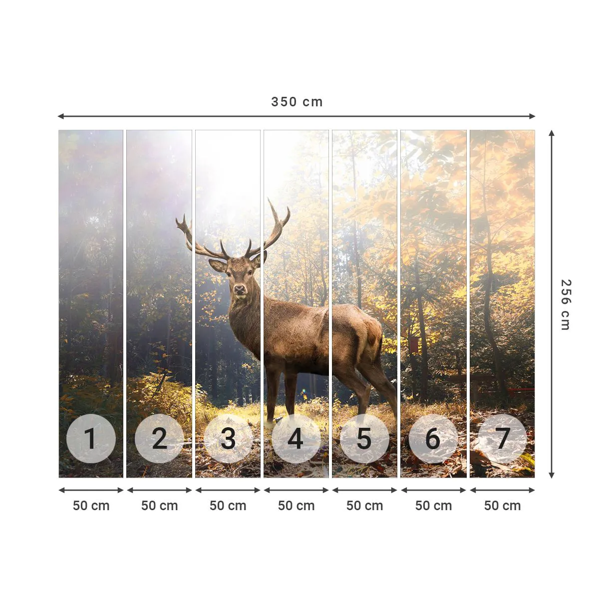 Papier Peint Photo Premium Sand - Toute sa majesté - Paysage, Cerf, Forêt - 350x256 cm