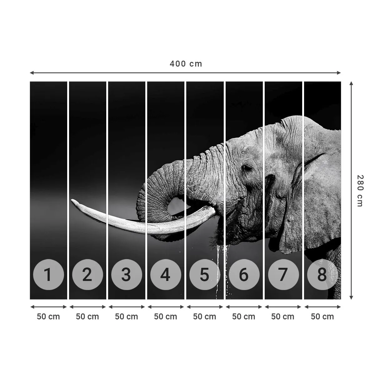 Fototapeta Standard Eco - Ano, teď je to dobré - Zvířata, Slon, Afrika - 400x280 cm