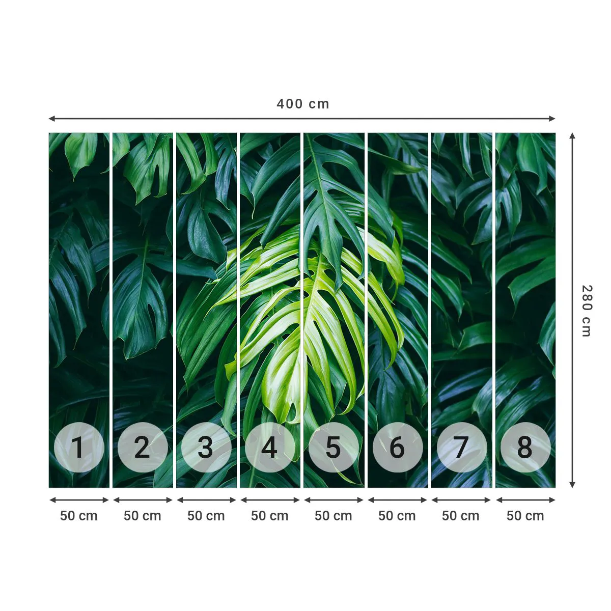 Self-Adhesive Photo Wallpaper Deluxe Sticker - Immerse Yourself in Freshness - Tropical Plant, Monstera leaf, Nature - 400x280 cm