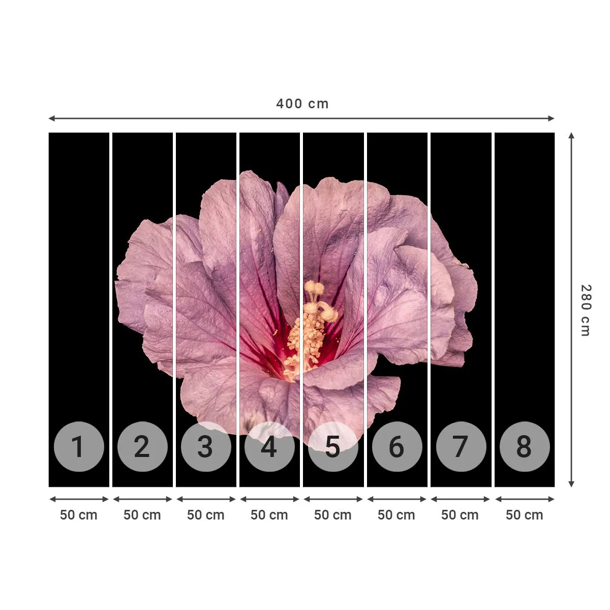 Photo Wallpaper Premium Canvas - Straight from the Heart - Flower, Piece, Graphics - 400x280 cm