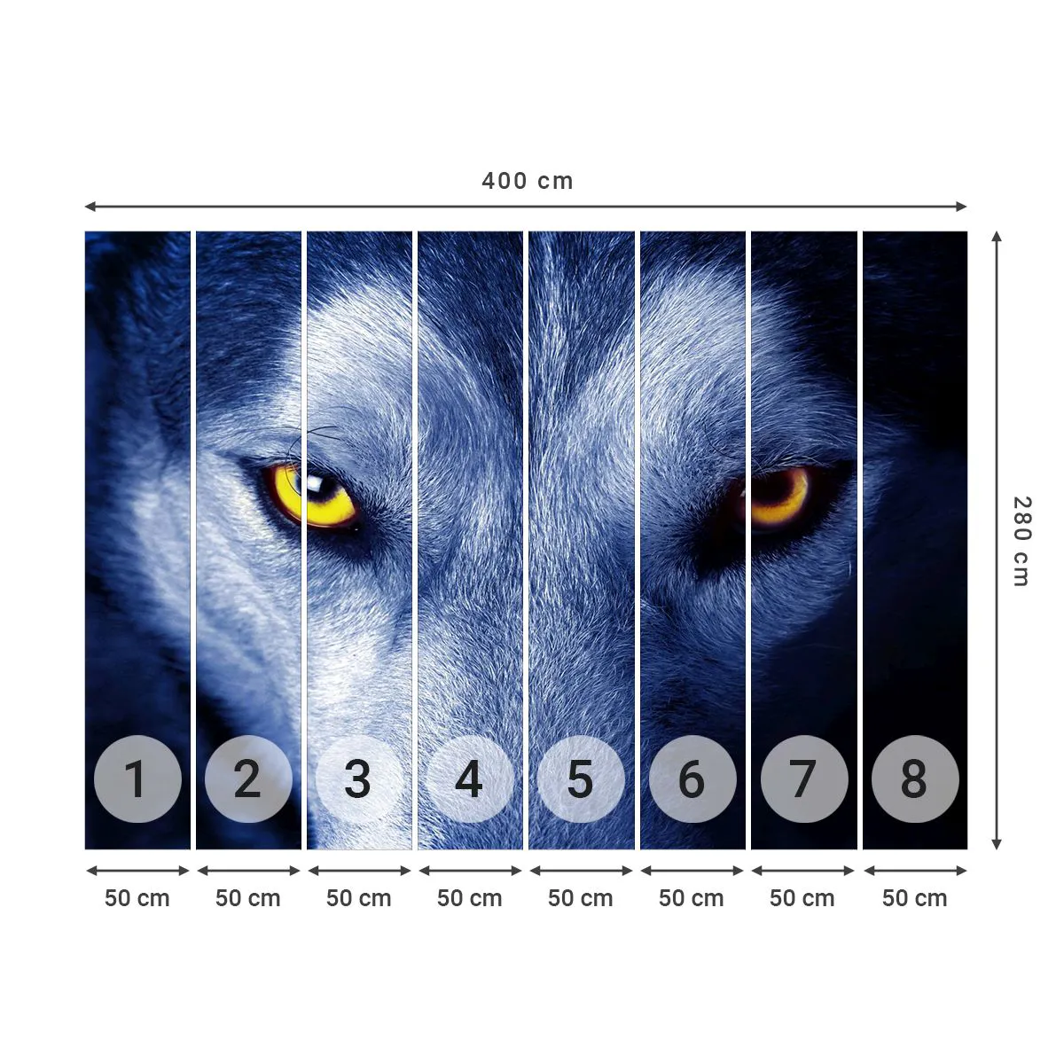 Fototapeta Premium Sand - Fascinující pohled - Zvířata, Vlk, Oči - 400x280 cm