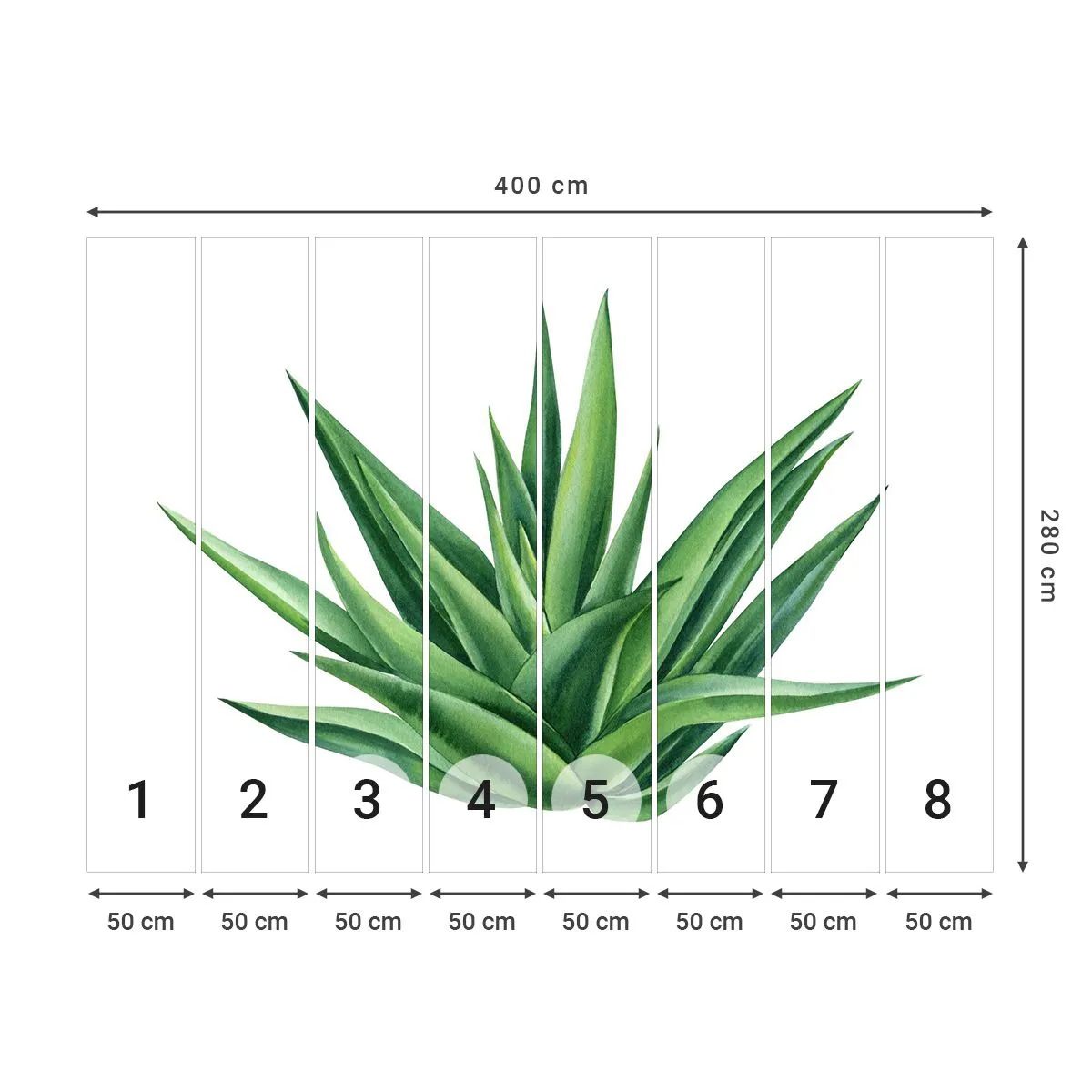 Fototapete Standard Eco - Grün – Kraft – Leben - Anlage, Aloe, Botanik - 400x280 cm
