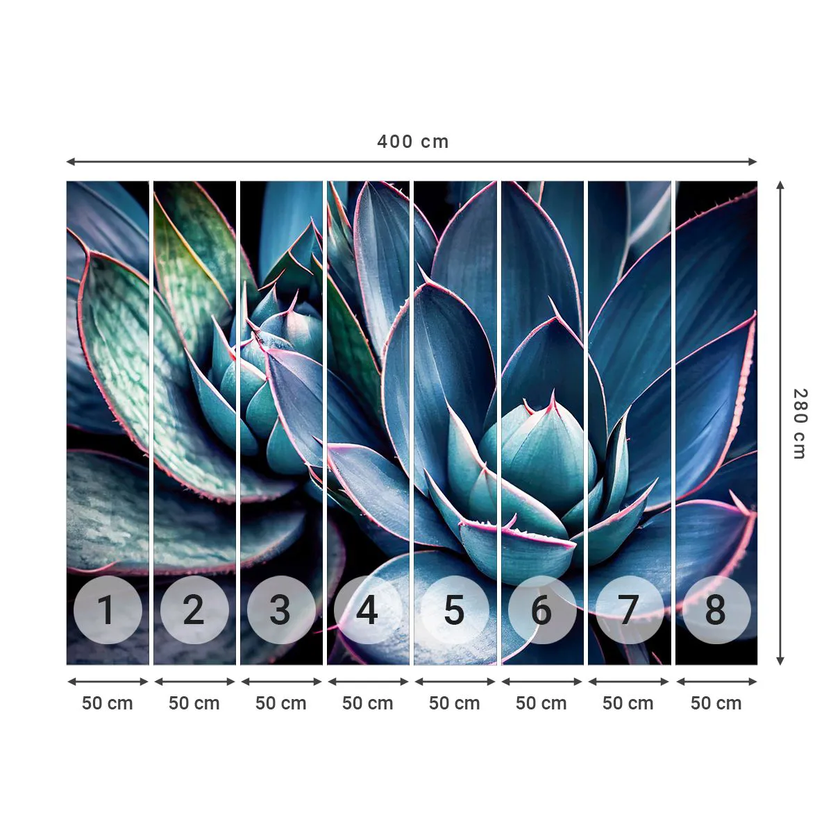 Fotótapéta Premium Sand - Életerő - Virágok, Növénytan, Pozsgás növények - 400x280 cm