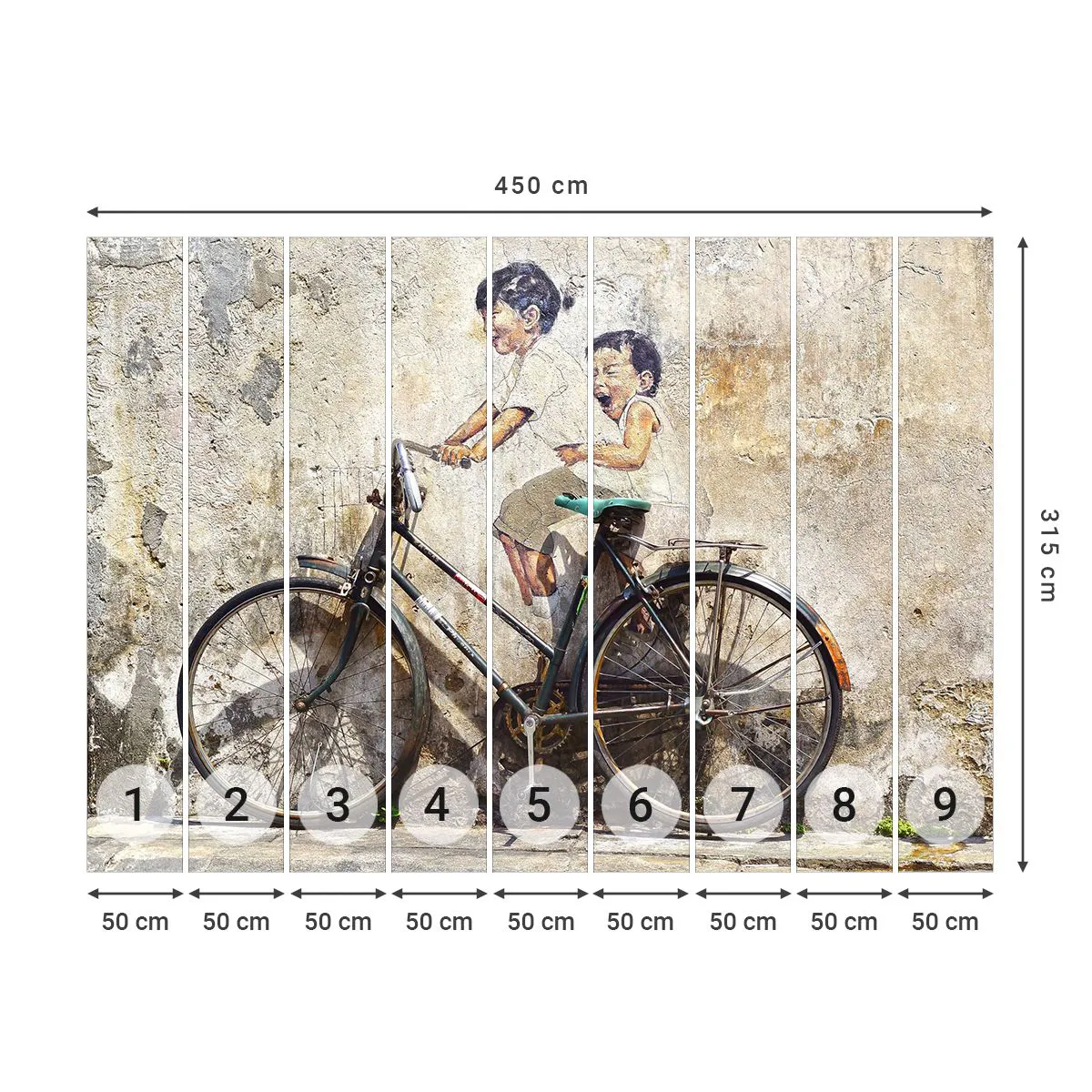 Fotomural Premium Sand - ¿Verdadero o falso? - Abstracción, Mural, Bicicleta - 450x315 cm