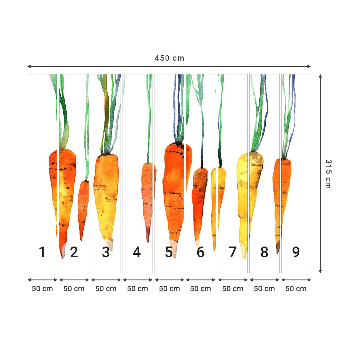 Fototapeta Premium Canvas - Krása obyčejnosti - Gastronomie, Mrkev, Grafika - 450x315 cm