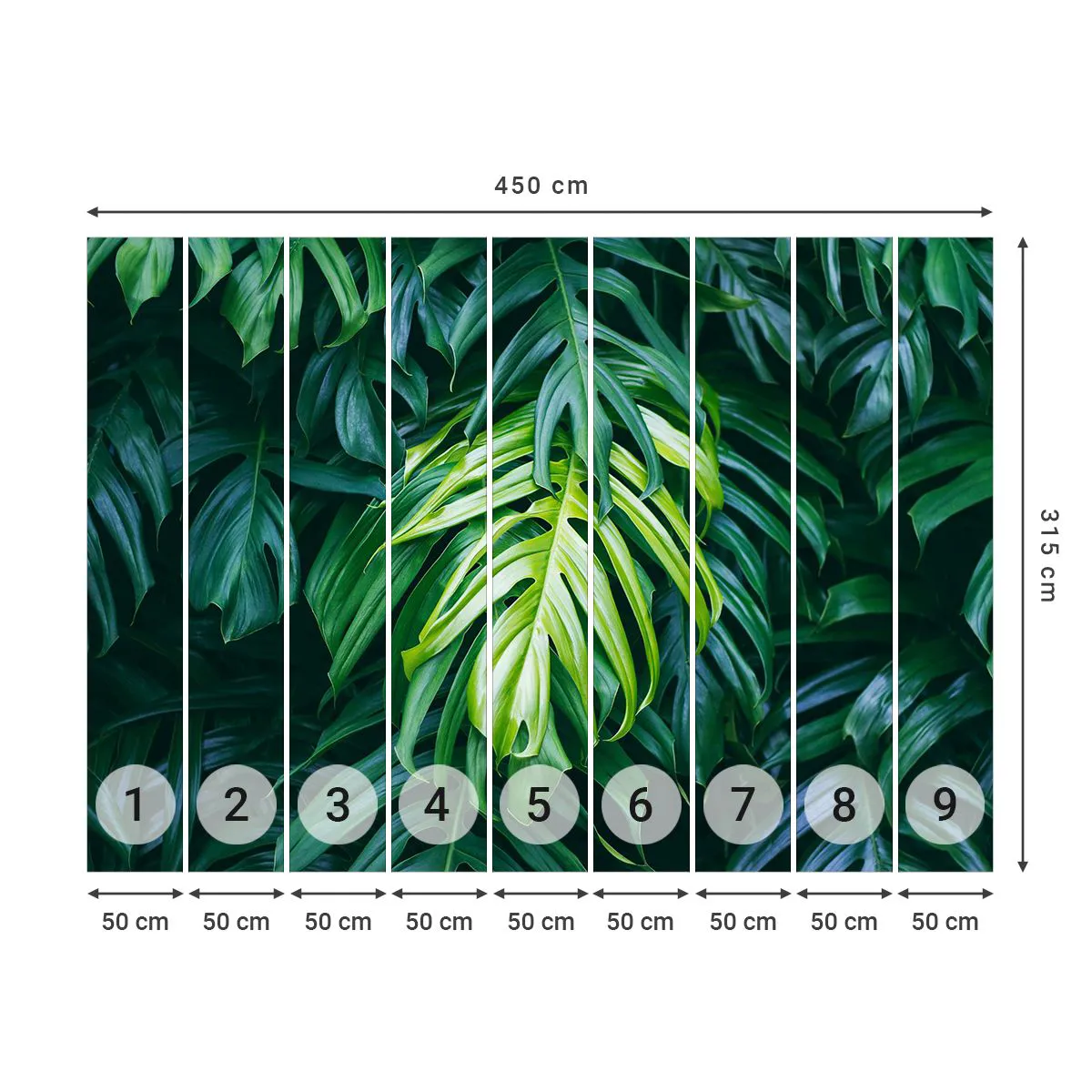 Self-Adhesive Photo Wallpaper Deluxe Sticker - Immerse Yourself in Freshness - Tropical Plant, Monstera leaf, Nature - 450x315 cm