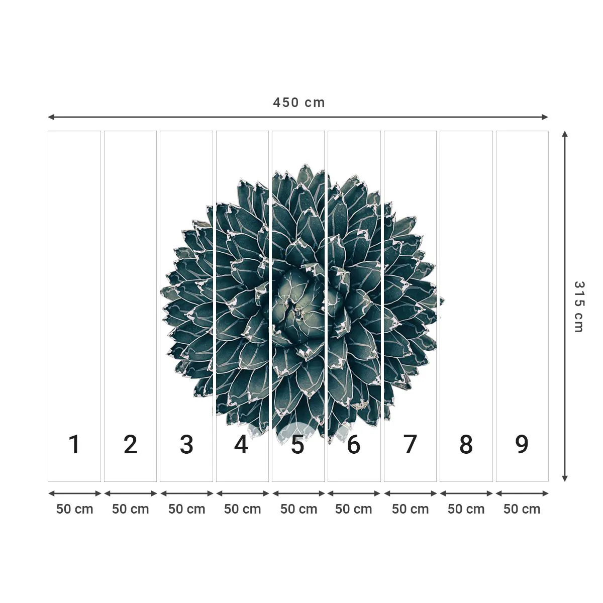 Fototapete Standard Eco - Stern der Wüste - Kaktus, Agave, Grafik - 450x315 cm