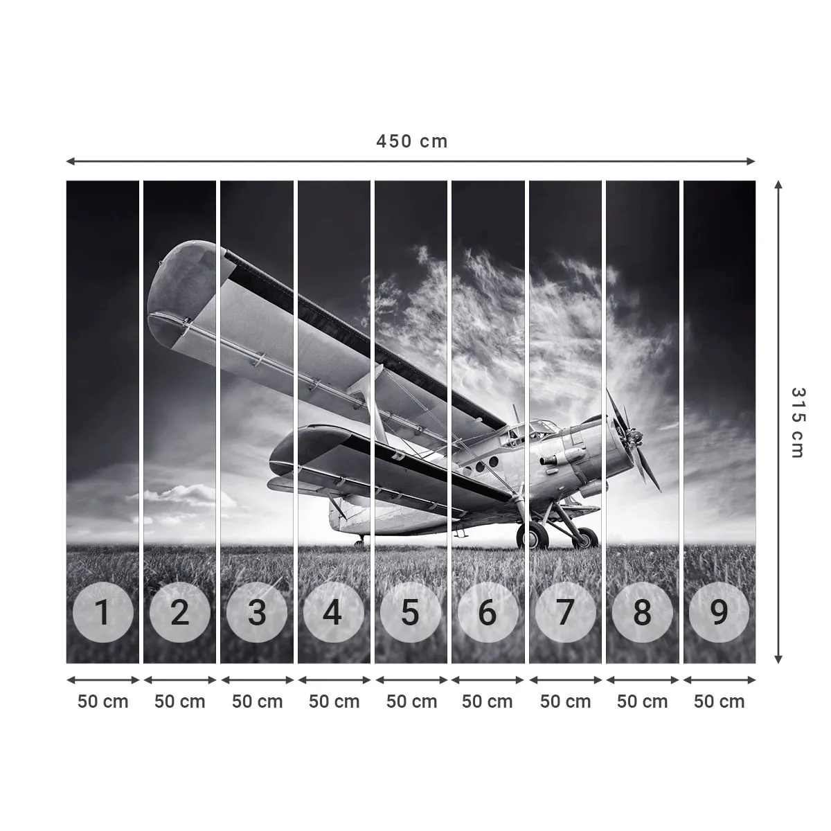 Photo Wallpaper Premium Sand - Winged Pilgrim - Plane, Aircraft, Black and white - 450x315 cm