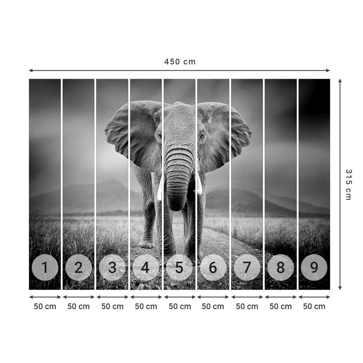 Papier Peint Photo Premium Sand - Les hôtes vous saluent - Éléphant, Animaux, Paysage - 450x315 cm