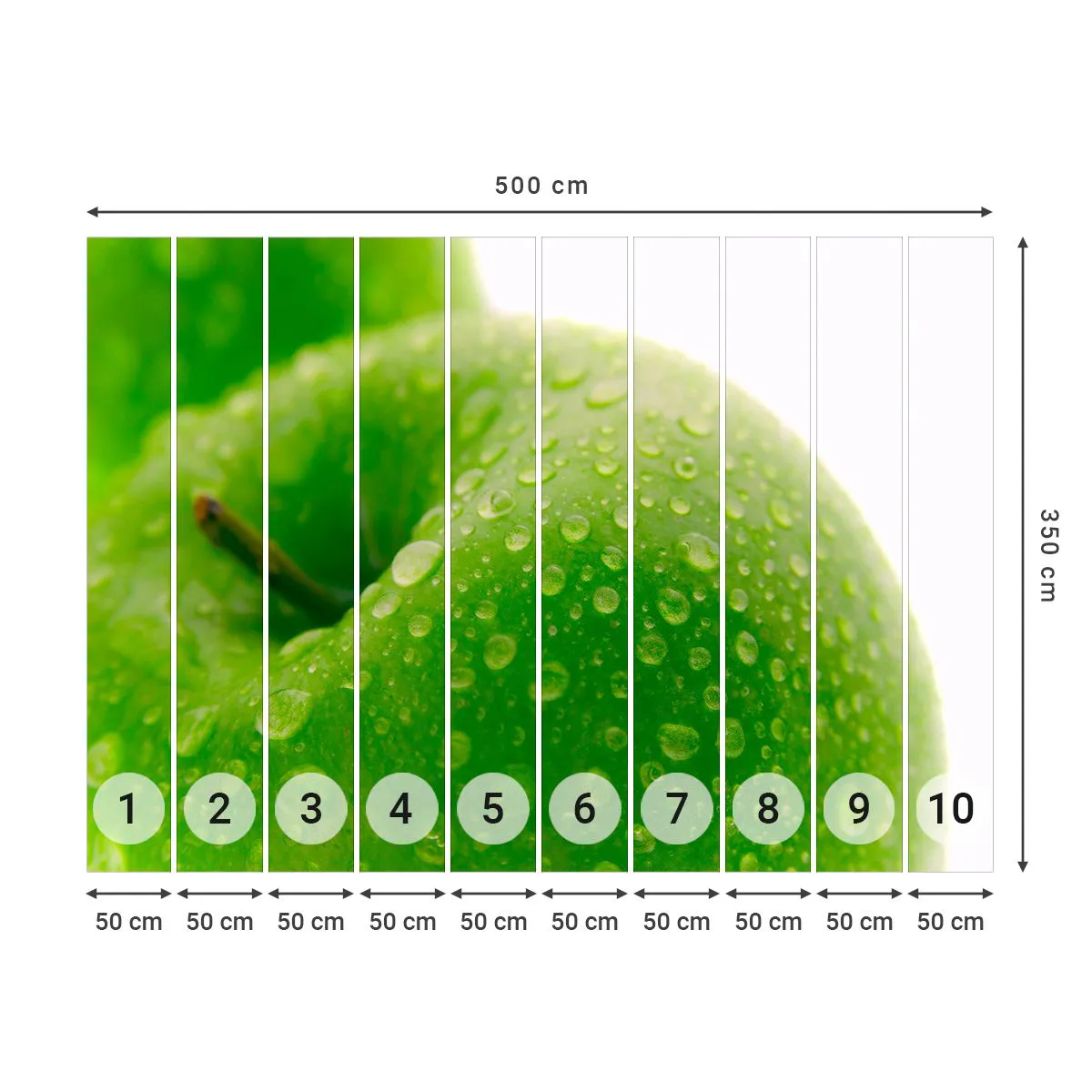 Fotótapéta Premium Sand - Zöld hűvös frissesség - Gyümölcs, alma, Gasztronómia - 500x350 cm