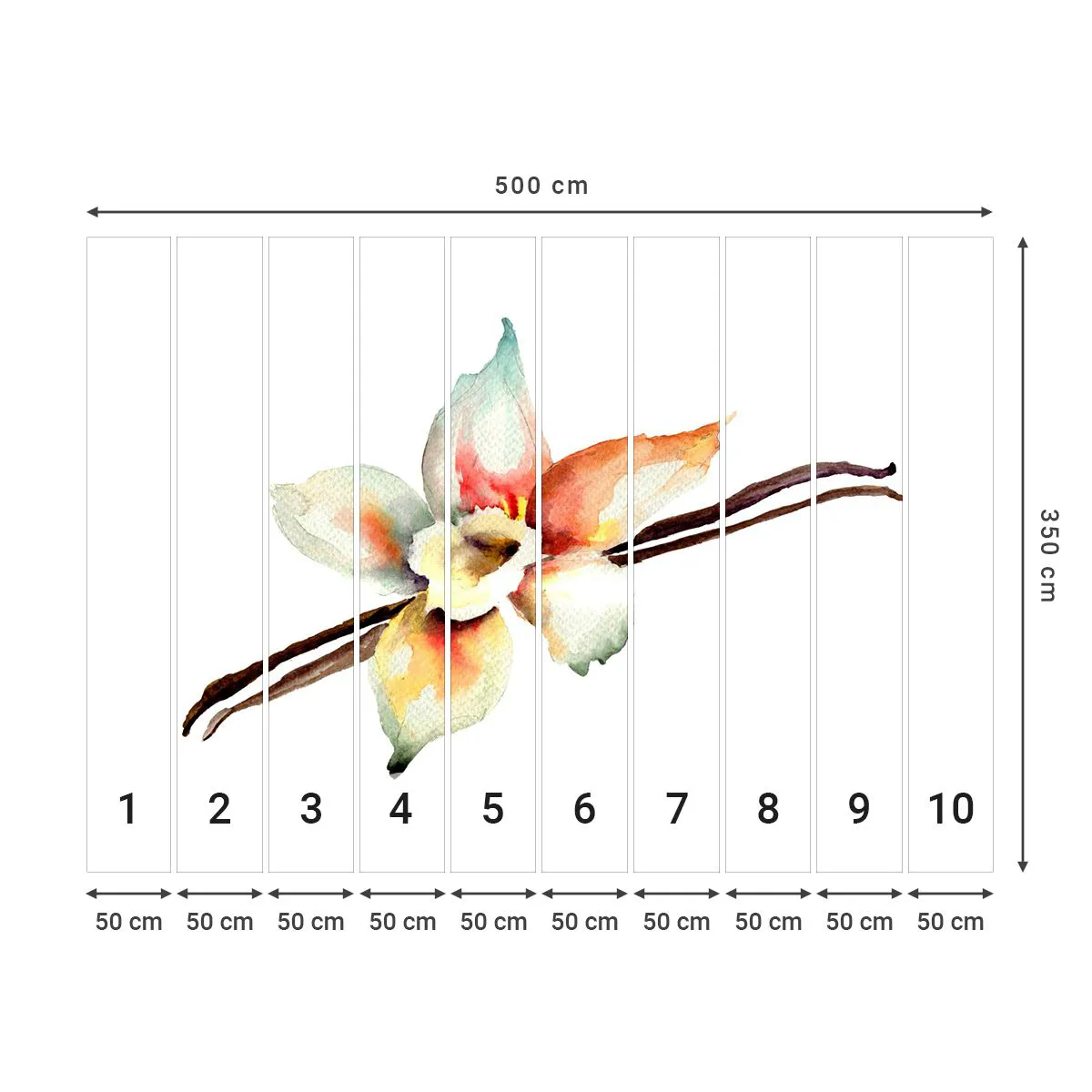 Fotótapéta Premium Sand - Festékkel kiöntött édesség - Vanília Virág, Virág, Vanília rúd - 500x350 cm