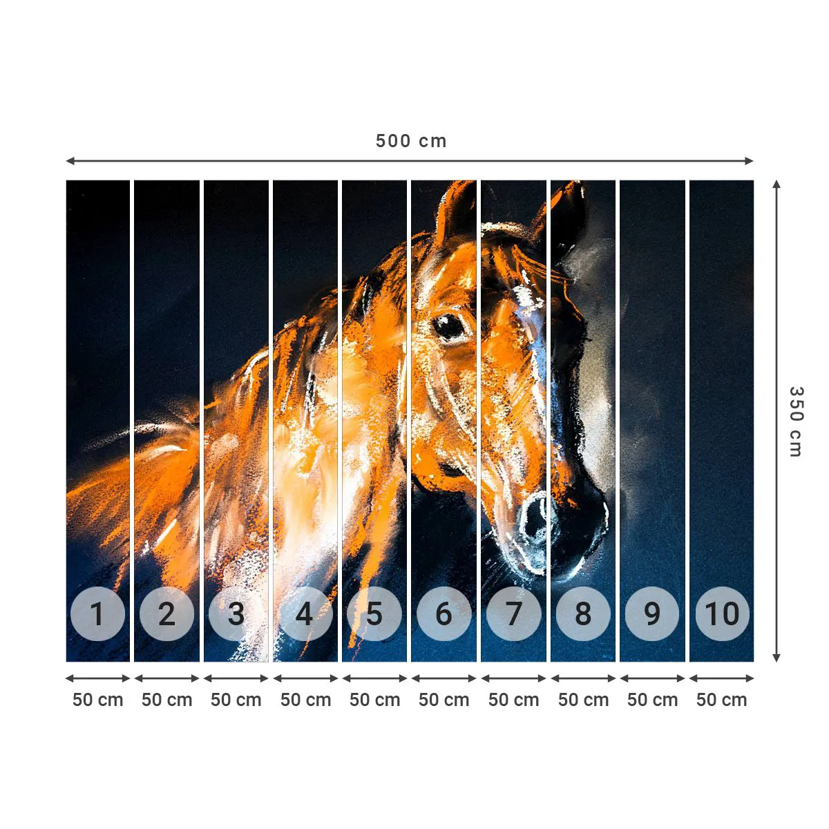 Fototapeta Premium Canvas - Tak co, jedeš? - Zvířata, Kůň, Kobyla - 500x350 cm