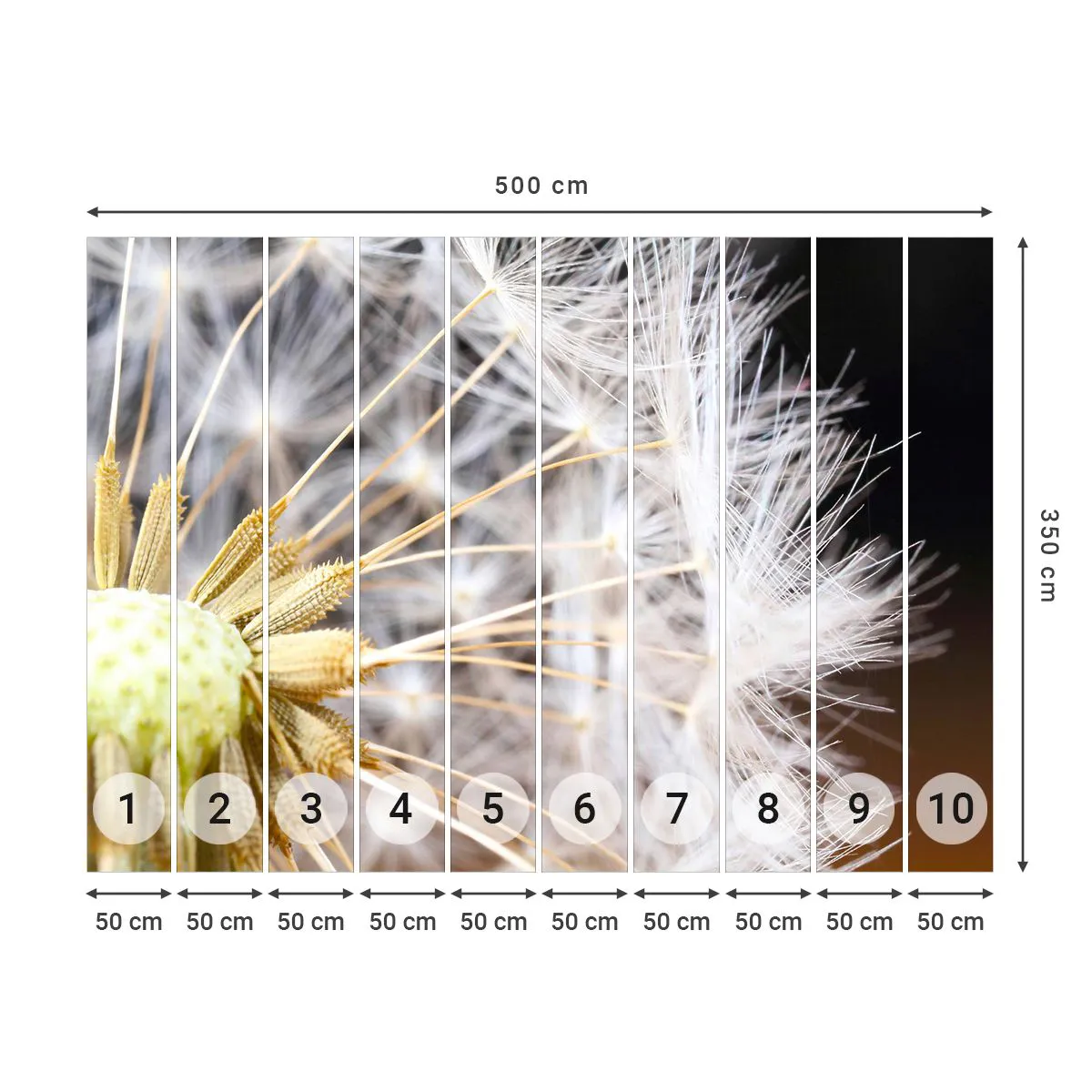 Fotobehang Premium Canvas - Net voor vertrek - Bloem, Plant, Natuur - 500x350 cm