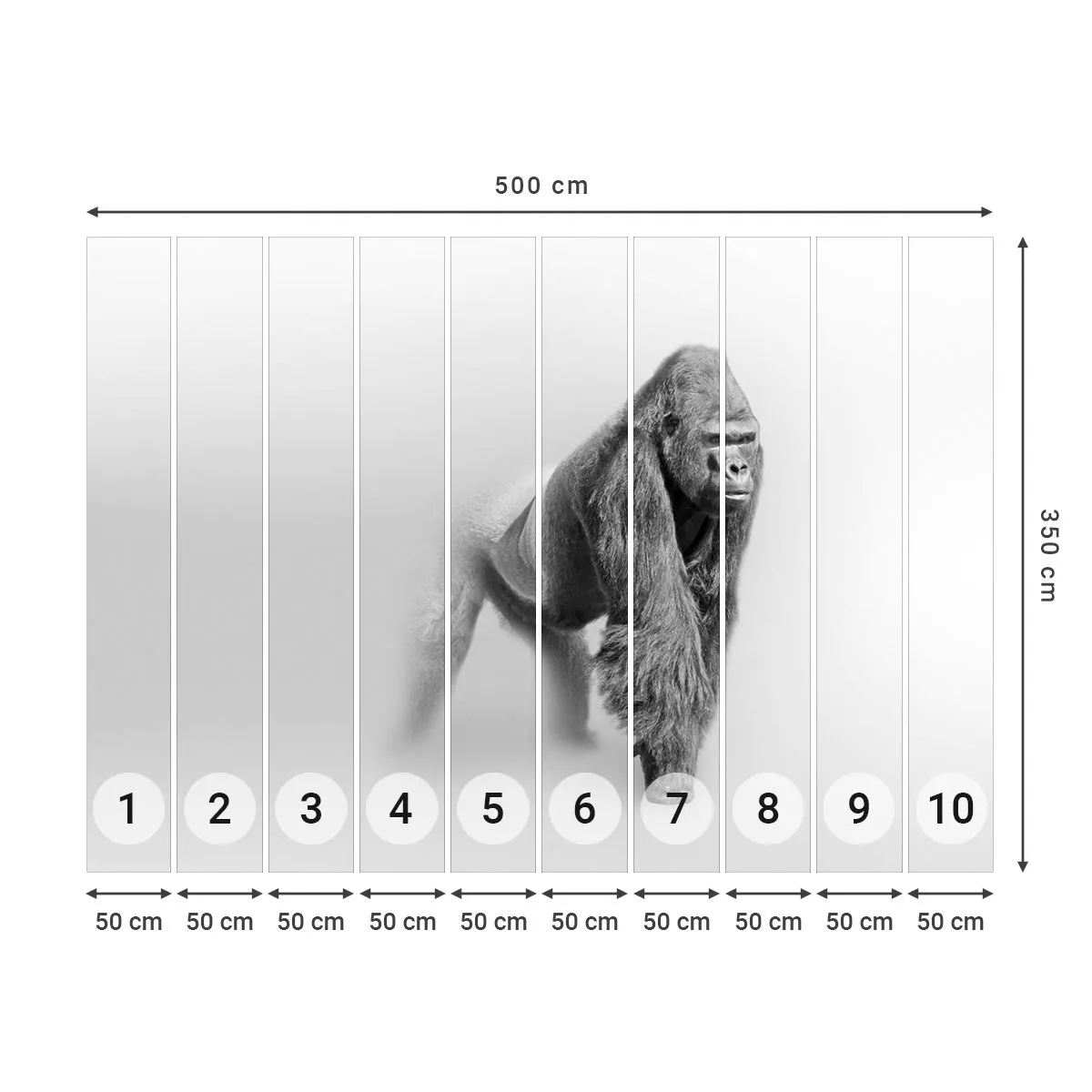 Fotobehang Premium Sand - Vertrouwen in zijn kracht - Dieren, Gorilla, Aap - 500x350 cm