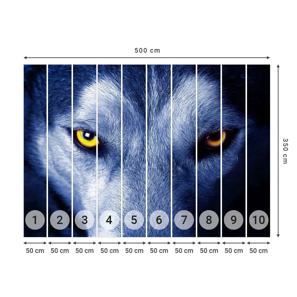 Fotobehang Premium Canvas - Betoverende look - Dieren, Wolf, Ogen - 500x350 cm